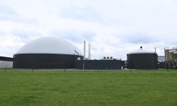 Biogas